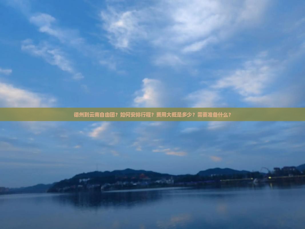 德州到云南自由团