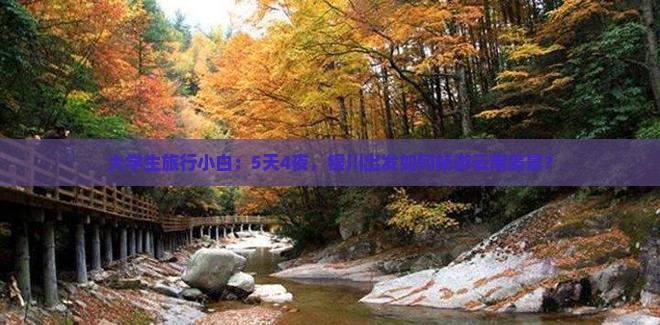 银川到云南自由行