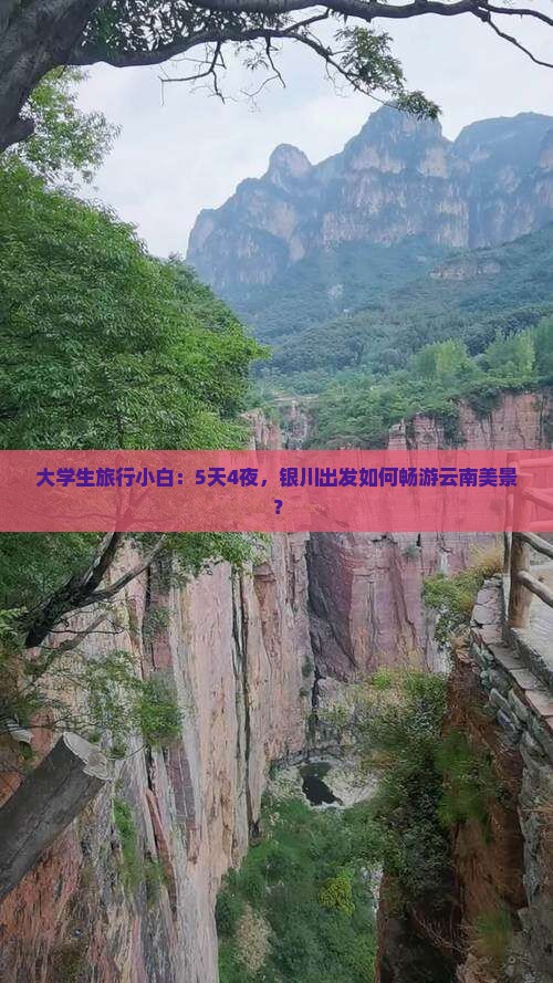 银川到云南自由行