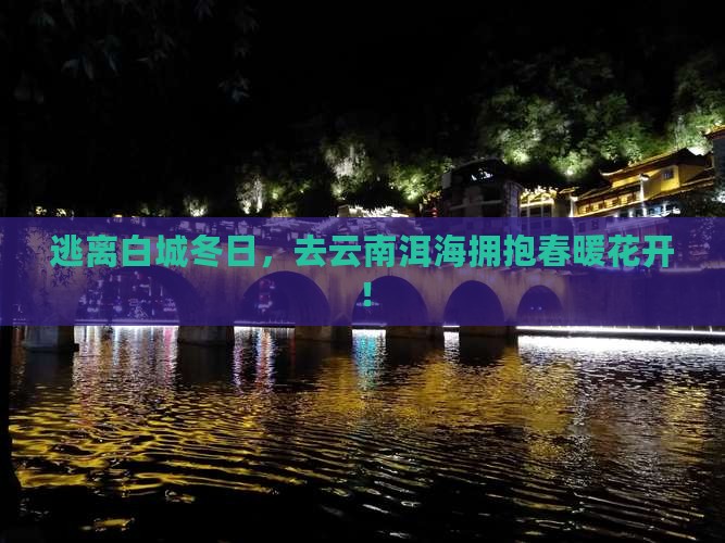 白城去云南洱海旅游