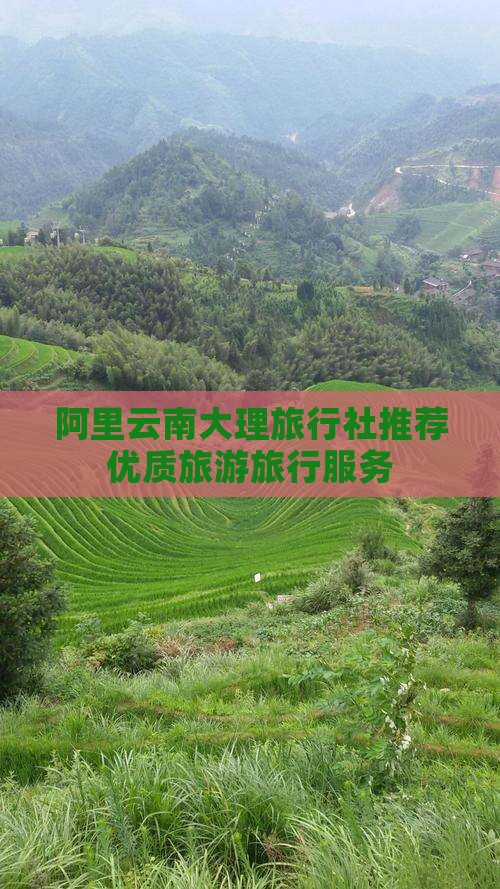 阿里去云南大理旅行社