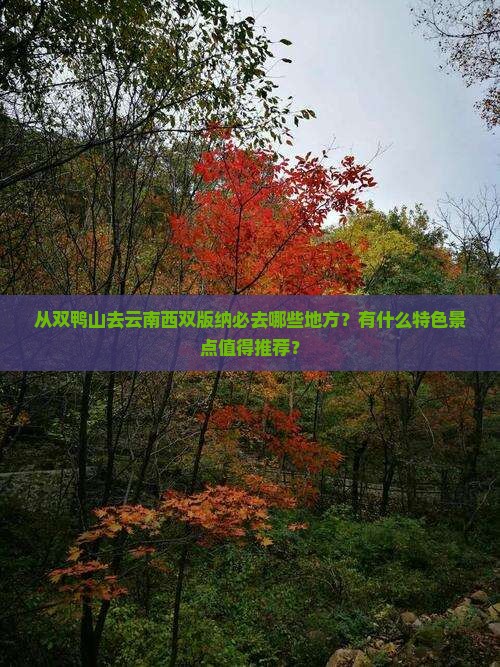 双鸭山去云南西双版纳必去地