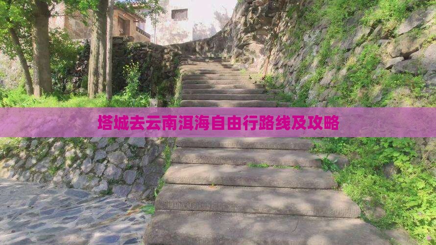 塔城去云南洱海自由行