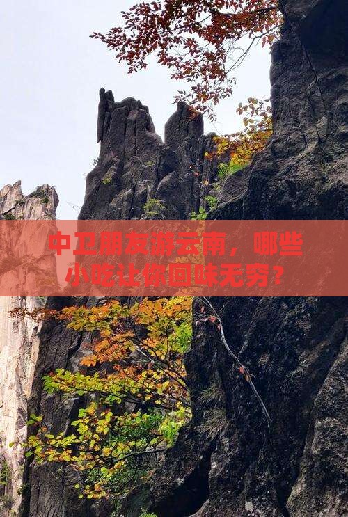 中卫去云南旅游小吃
