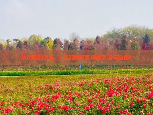 沈阳到云南洱海七日游