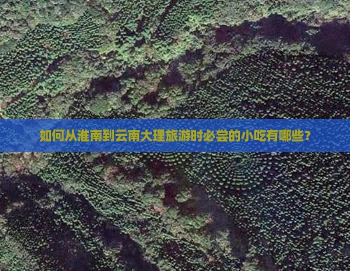 淮南去云南大理旅游小吃