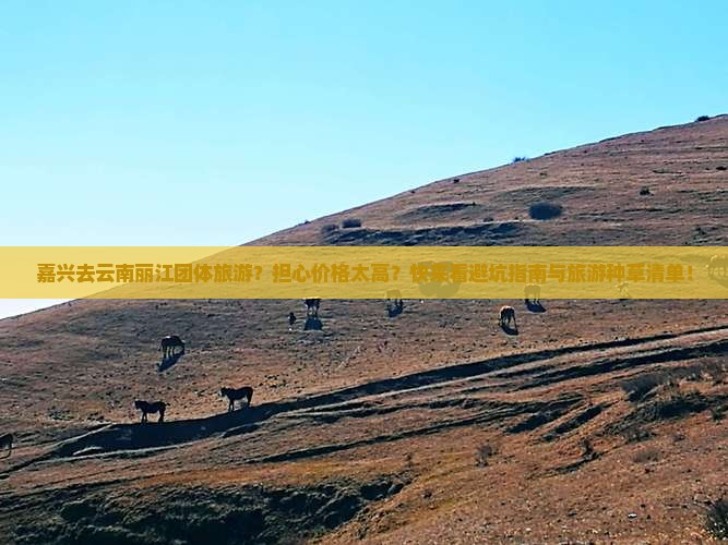 嘉兴去云南丽江团体旅游