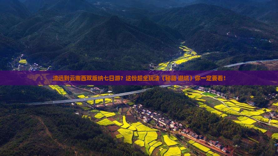 清远到云南西双版纳七日游