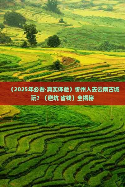 忻州去云南古城哪里玩