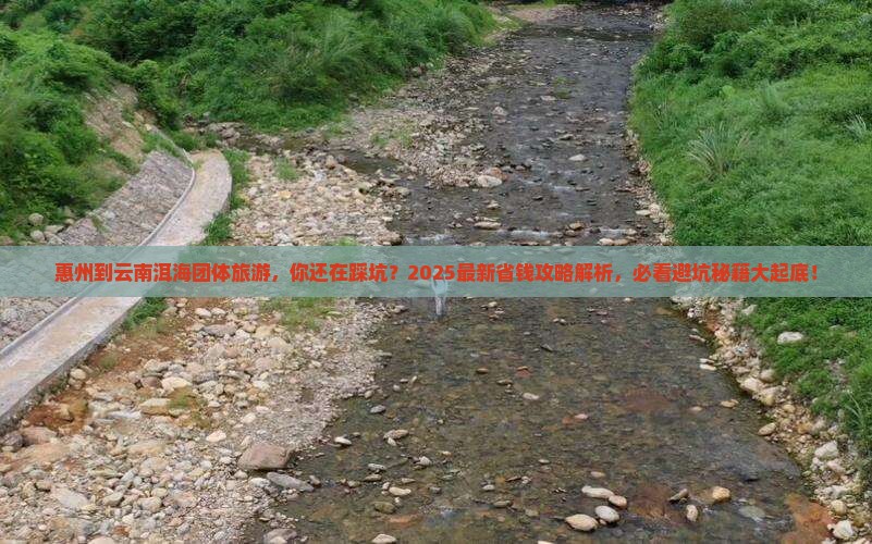 惠州到云南洱海团体旅游
