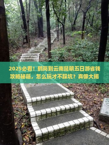 鹤岗到云南昆明五日游
