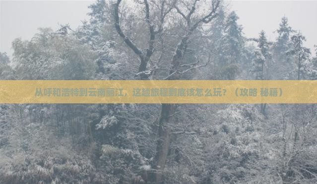 呼和浩特到云南丽江哪里玩