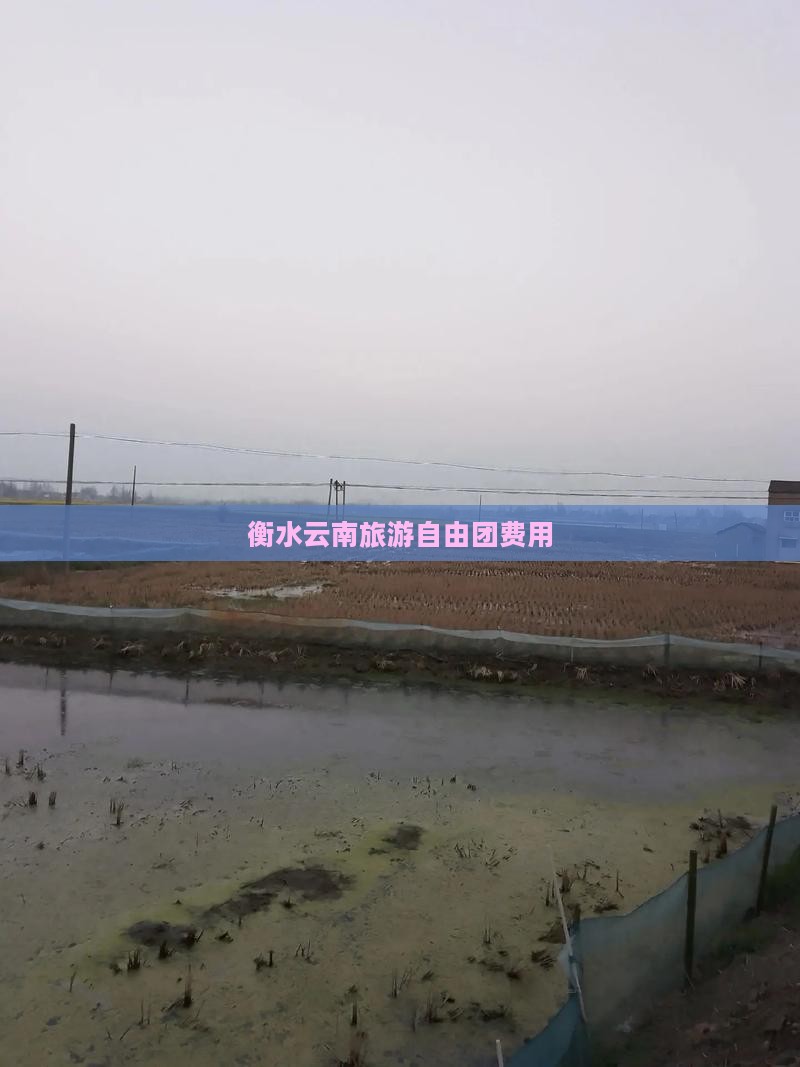 衡水去云南大理自由团