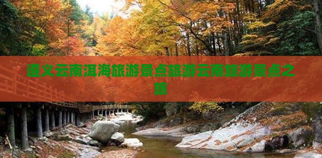 遵义去云南洱海自由团