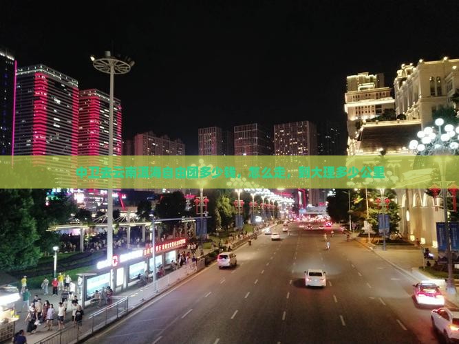 中卫去云南洱海自由团