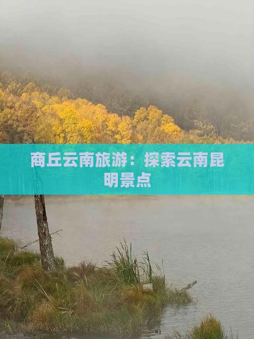 商丘去云南昆明旅游