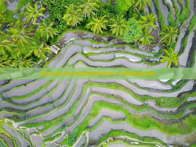 曲靖去云南大理大型旅游团