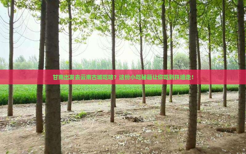 甘南去云南古城旅游小吃