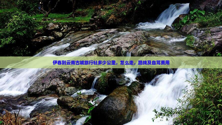 伊春到云南古城旅行社