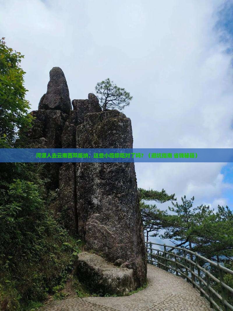 河源去云南西双版纳旅游小吃