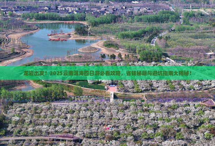 龙岩去云南洱海四日游
