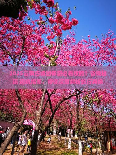 来宾到云南古城团体旅游