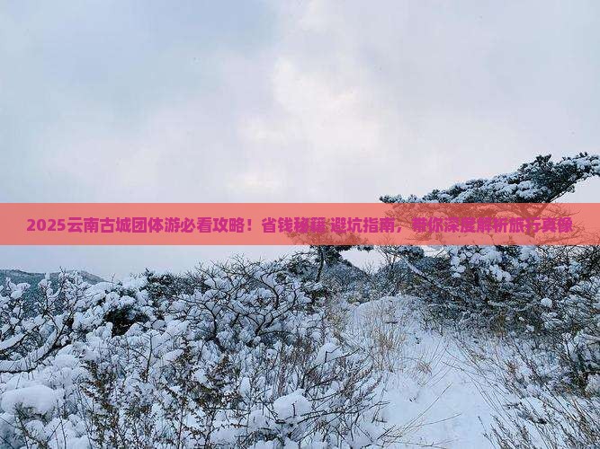 来宾到云南古城团体旅游