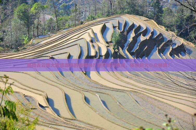 临猗去云南大理旅游