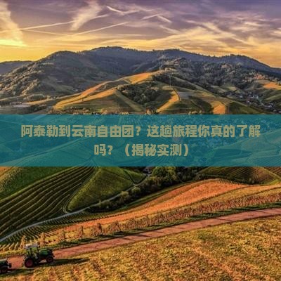 阿泰勒到云南自由团