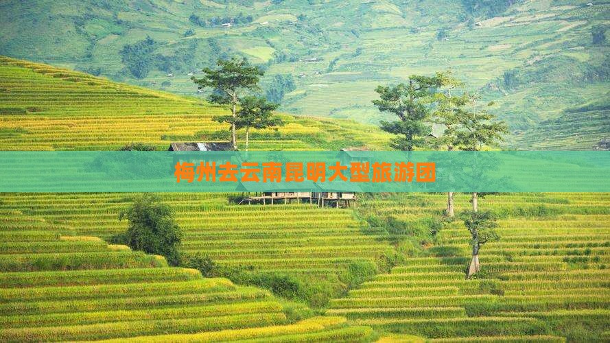 梅州去云南昆明大型旅游团