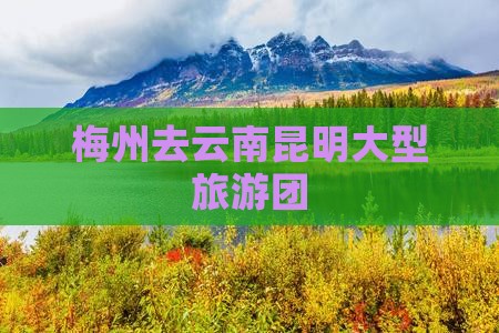 梅州去云南昆明大型旅游团