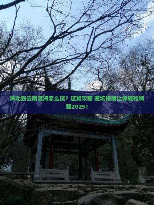 海北到云南洱海旅行社