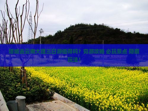 塔城去云南大理三日游