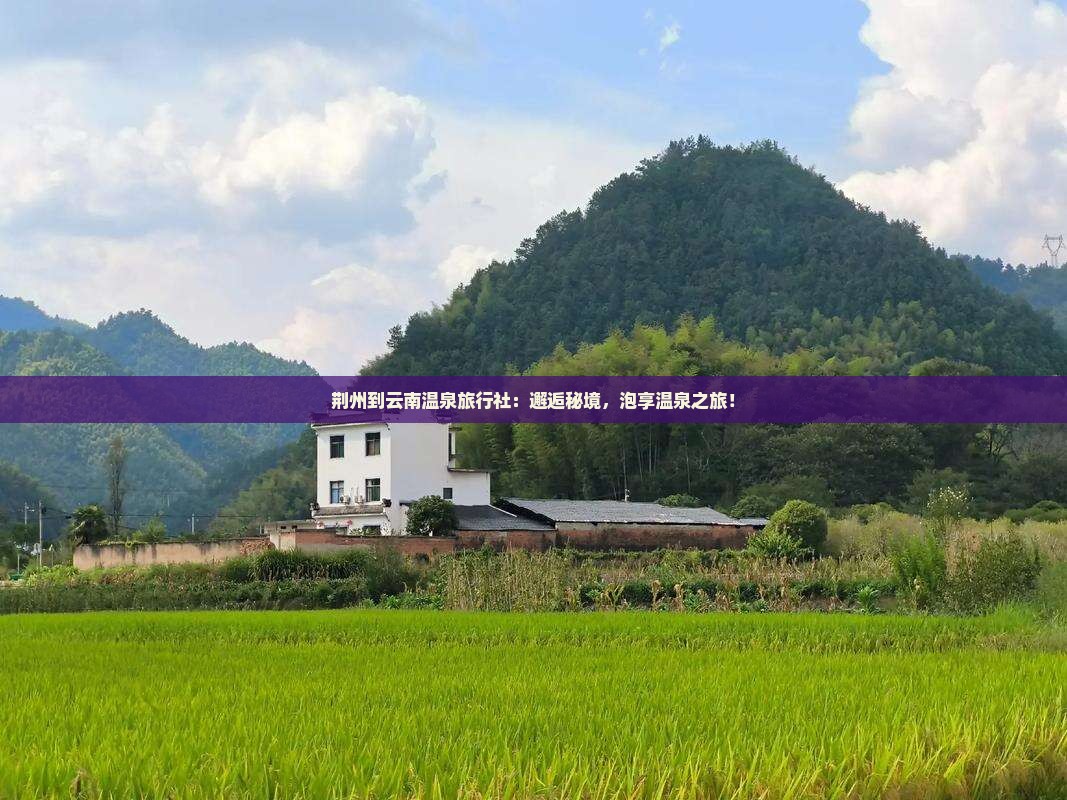 荆州到云南温泉旅行社