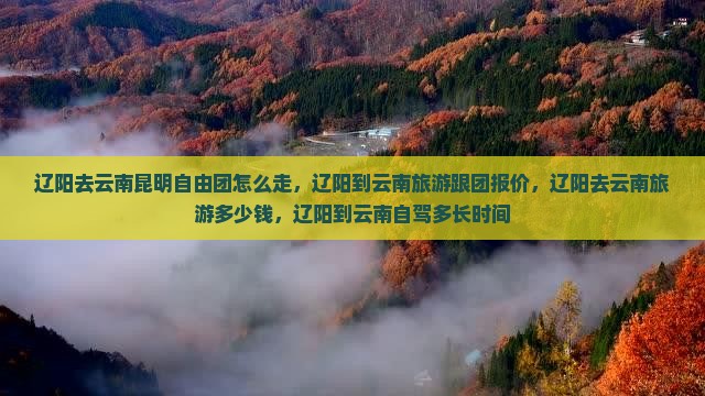 辽阳去云南昆明自由团