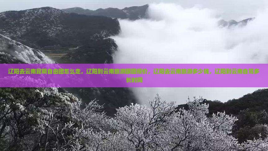 辽阳去云南昆明自由团