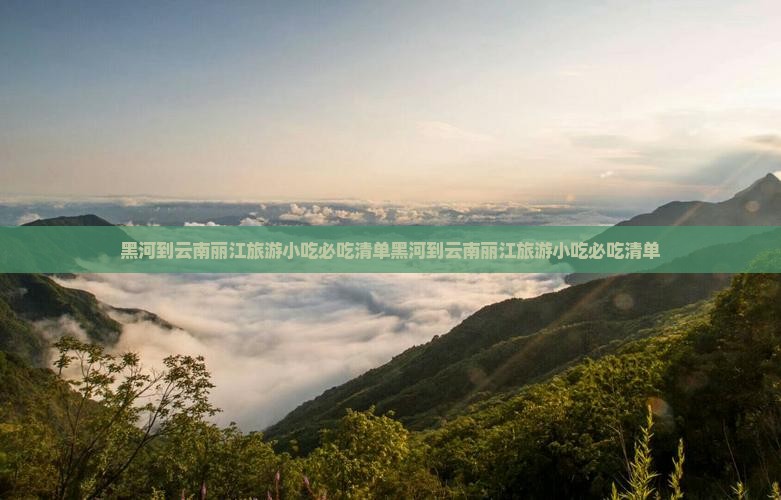 黑河到云南丽江旅游小吃