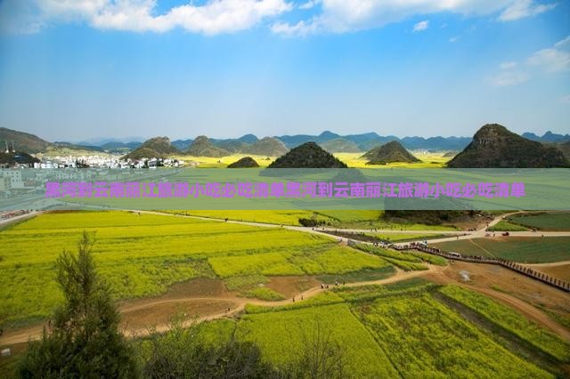 黑河到云南丽江旅游小吃
