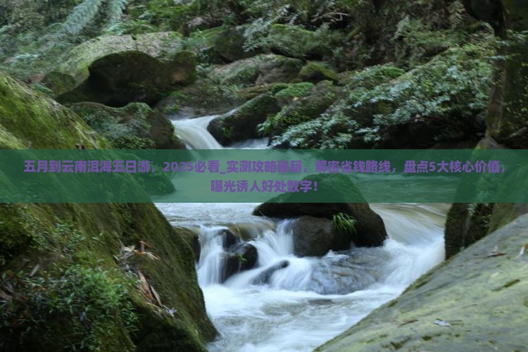 五月到云南洱海五日游