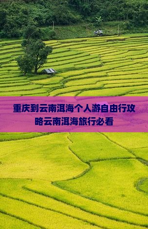 重庆到云南洱海个人游