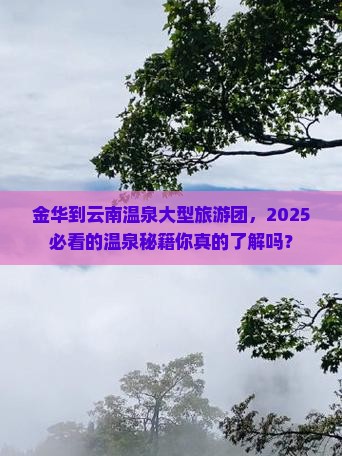 金华到云南温泉大型旅游团