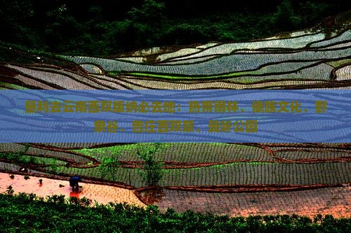 垦利去云南西双版纳必去地