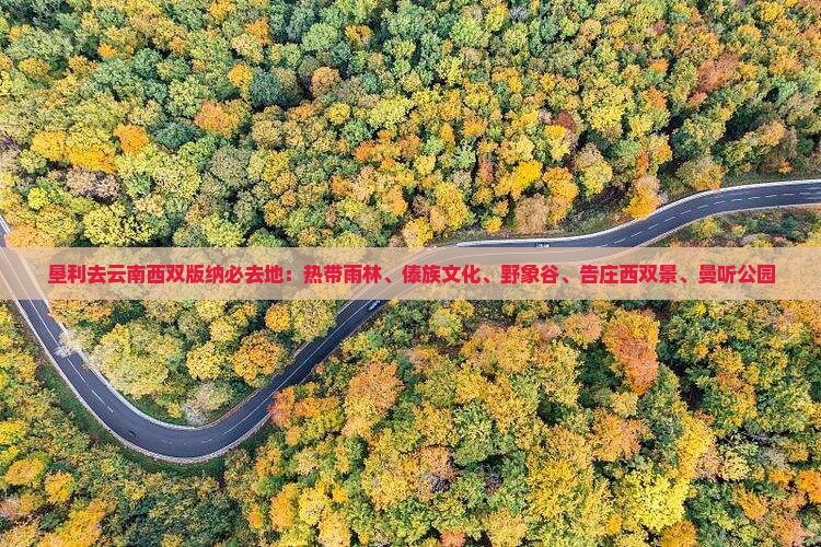垦利去云南西双版纳必去地