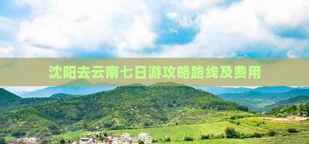 沈阳去云南七日游