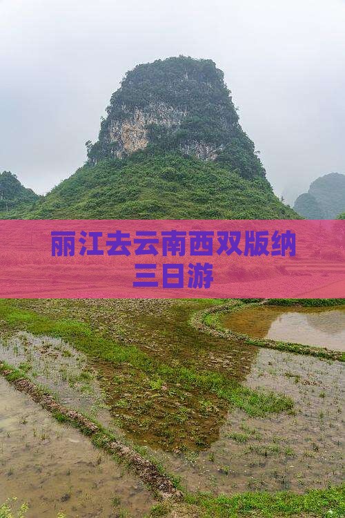 丽江去云南西双版纳三日游
