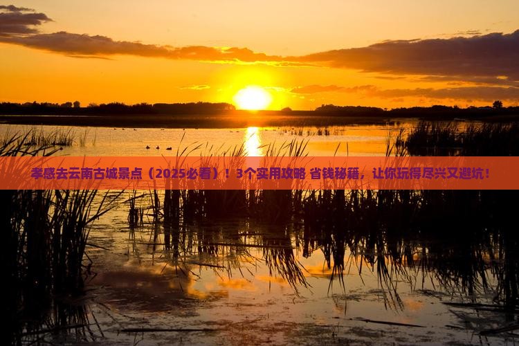 孝感去云南古城景点
