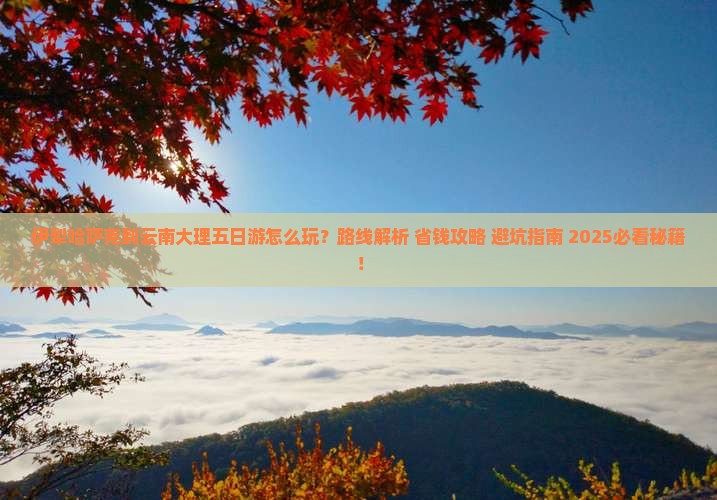 伊犁哈萨克到云南大理五日游