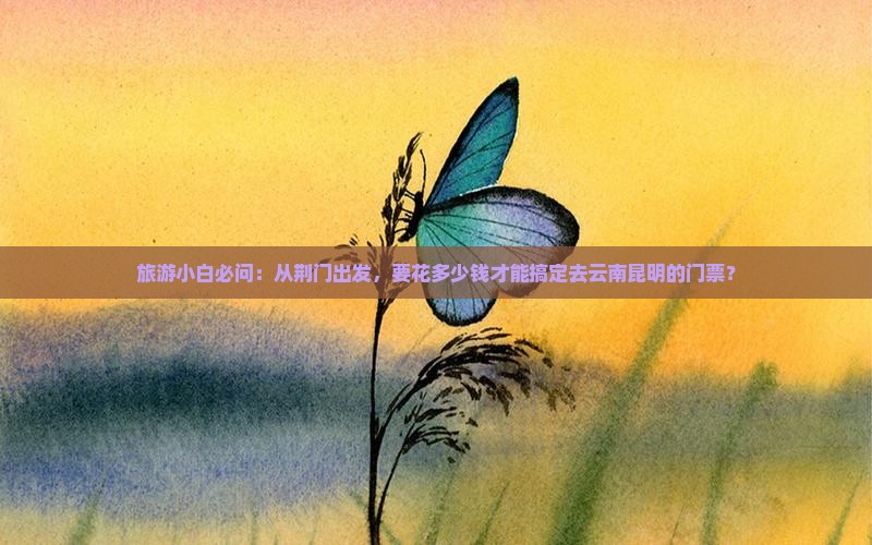 荆门到云南昆明门票