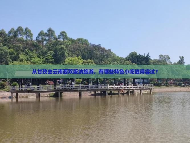 甘孜去云南西双版纳旅游小吃