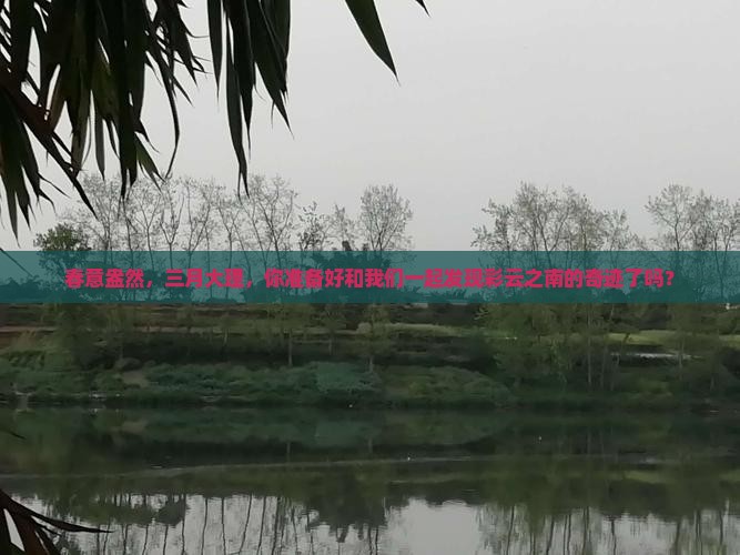 三月到云南大理旅行社